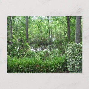 "PEACHTREE CITY, GA" POSTKARTE