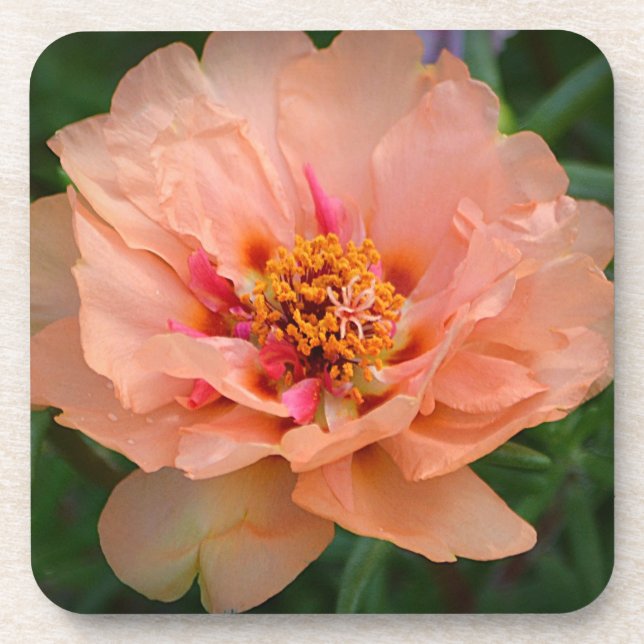 Peachy Blume Untersetzer (Vorderseite)