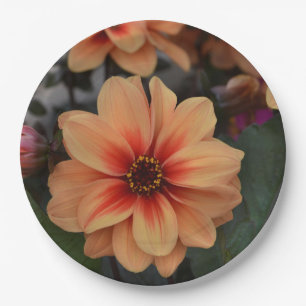 Peachy Floral Paper Plate Pappteller