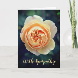 Peachy Orange Garden Rose Blume mit Beileid Karte
