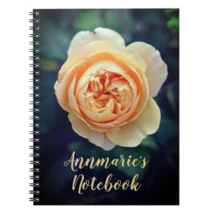 Peachy Orange Garden Rose Blume Personalisiert Notizblock