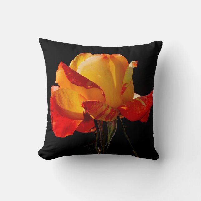 Peachy Orange Rose Kissen (Vorderseite)