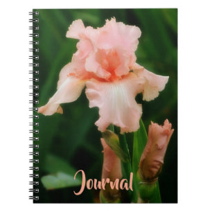 Peachy Pink Iris Blume Art Personal Journal Notizblock