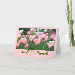 PEACHY-PINK, PINK UND WEISSE KLEINE KARTE