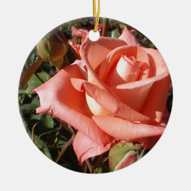 Peachy Pink Rose Keramikornament (Vorne)