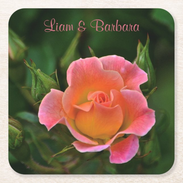 Peachy Pink Wedding Rose Rechteckiger Pappuntersetzer (Vorderseite)