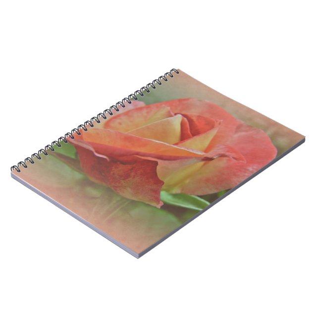 Peachy Rose Blossom Notizblock (Linke Seite)