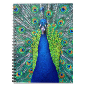 Peacock#1 Notizblock