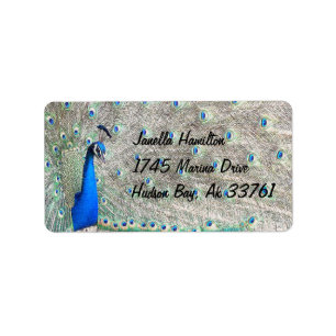 Peacock Address Labels Adressaufkleber