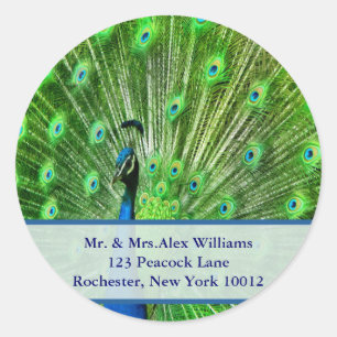 Peacock Address Labels Runder Aufkleber