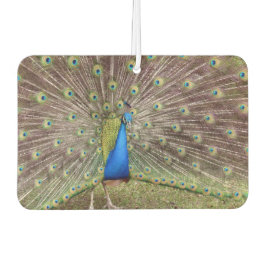 Peacock Air Freshener Autolufterfrischer