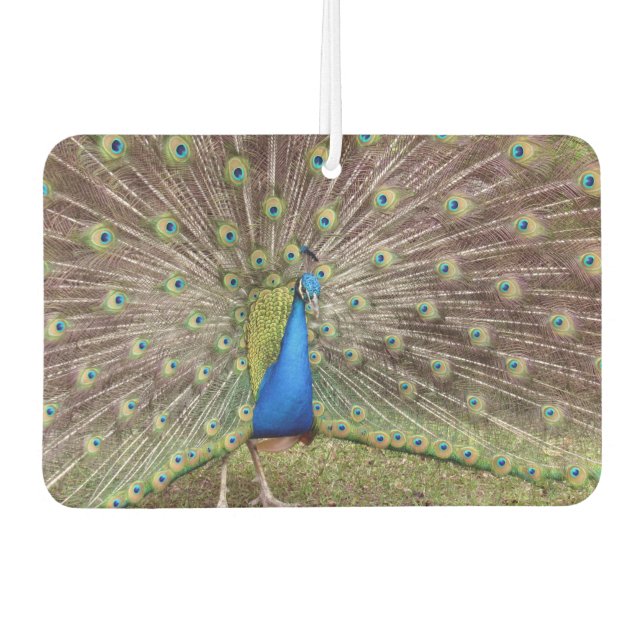 Peacock Air Freshener Autolufterfrischer (Vorderseite)