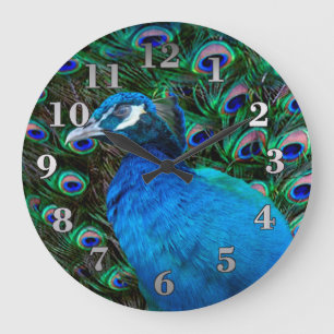 Peacock and Feather Große Wanduhr
