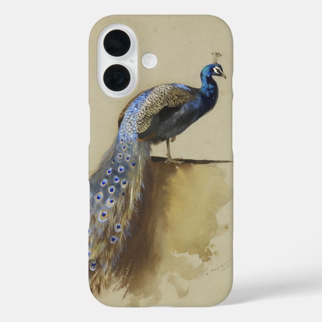 Peacock | Archibald Thorburn Case-Mate iPhone Hülle (Rückseite)
