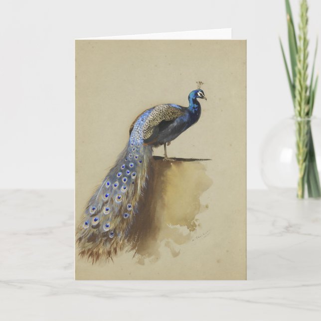 Peacock | Archibald Thorburn Karte (Vorderseite)