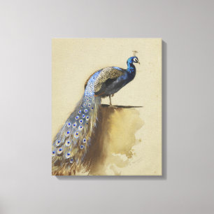 Peacock Archibald Thorburn Leinwanddruck