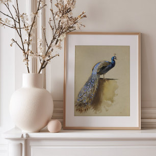 Peacock Archibald Thorburn Poster
