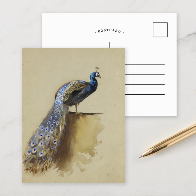 Peacock | Archibald Thorburn Postkarte (Von Creator hochgeladen)