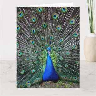 PEACOCK ART BIG BIRTHDAY GREETING CARD DANKESKARTE