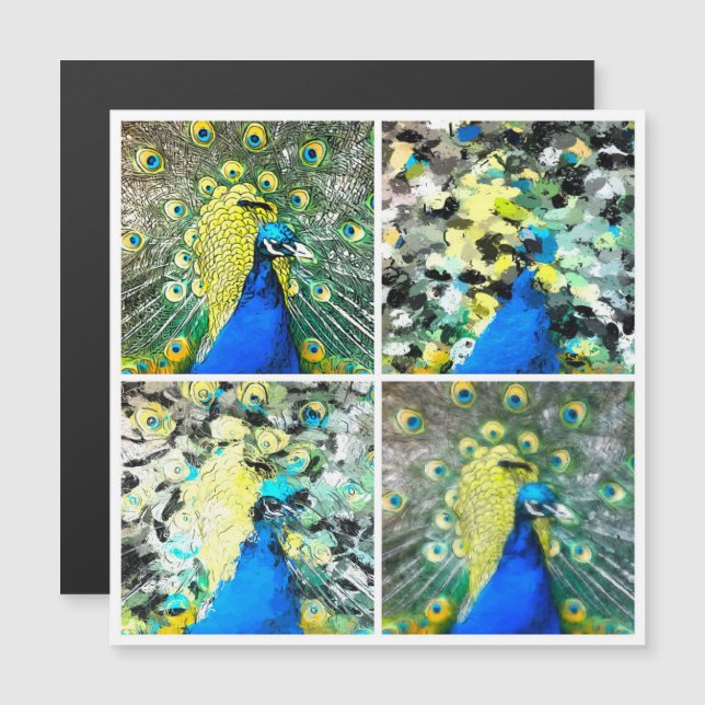 Peacock Art Magnetkarte (Vorne/Hinten)