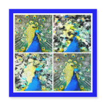 Peacock Art Magnetkarte