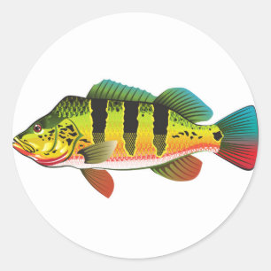 Peacock Bass bright Ocean Gamefish Illustration Runder Aufkleber