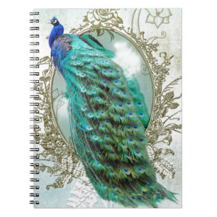 peacock beautiful turquoise vintage shabby bird notizblock
