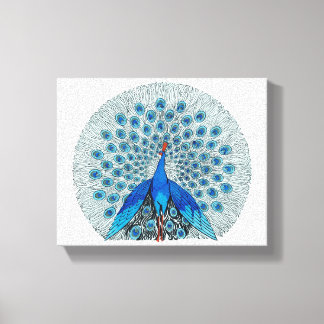 Peacock Beautiful Zeichnend Leinwanddruck