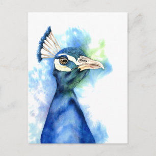 Peacock Bird - Farbe des Meeres Postkarte