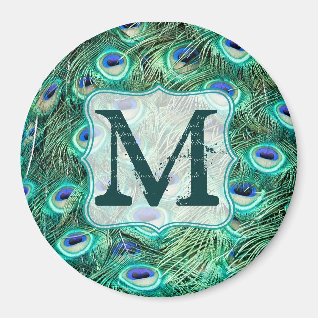 Peacock Bird Feather Aquamarin Monogram Initial Ma Magnet (Vorne)