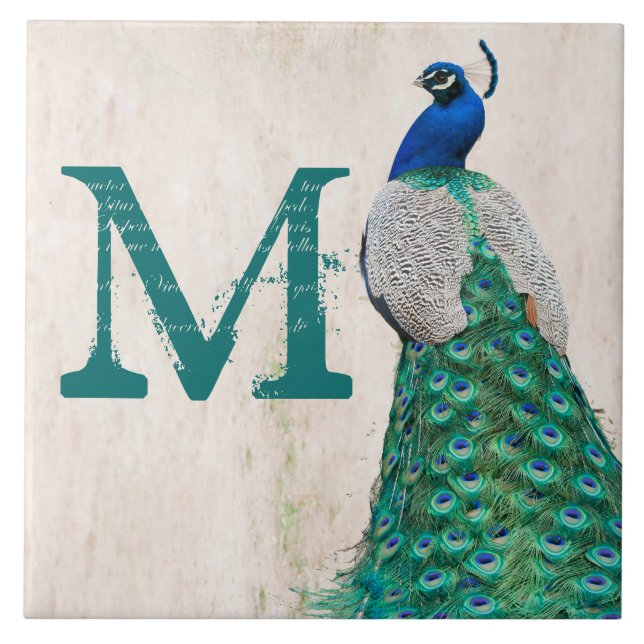 Peacock Bird Fether Aquamarine Monogram Display Ti Fliese (Vorderseite)