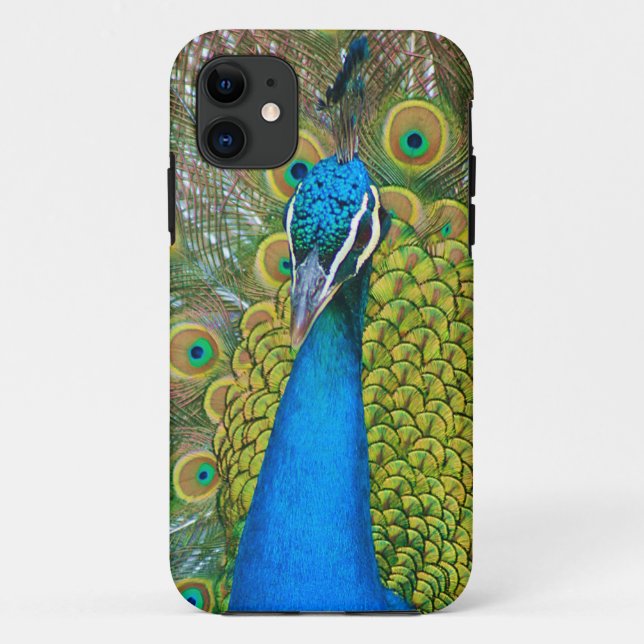Peacock Blue Head mit bunten Schwanz Feathers Case-Mate iPhone Hülle (Rückseite)