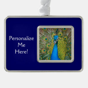 Peacock Blue Head mit bunten Schwanz Feathers Rahmen-Ornament Silber