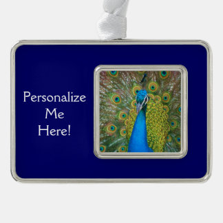 Peacock Blue Head mit bunten Schwanz Feathers Rahmen-Ornament Silber