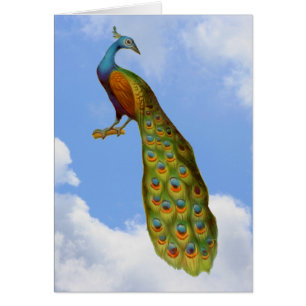 Peacock Blue Sky Clouds Animal Card