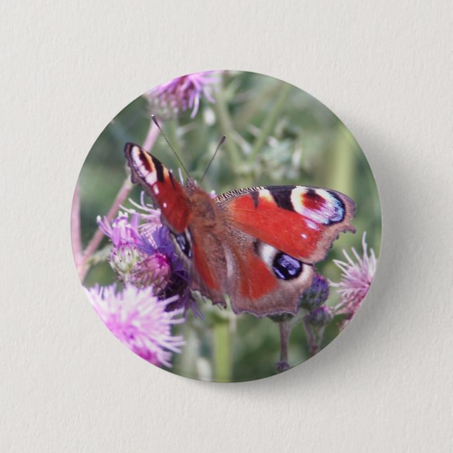 Peacock Butterfly im Sommer Sonnenschein Button (Vorderseite)