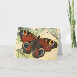 Peacock Butterfly Karte
