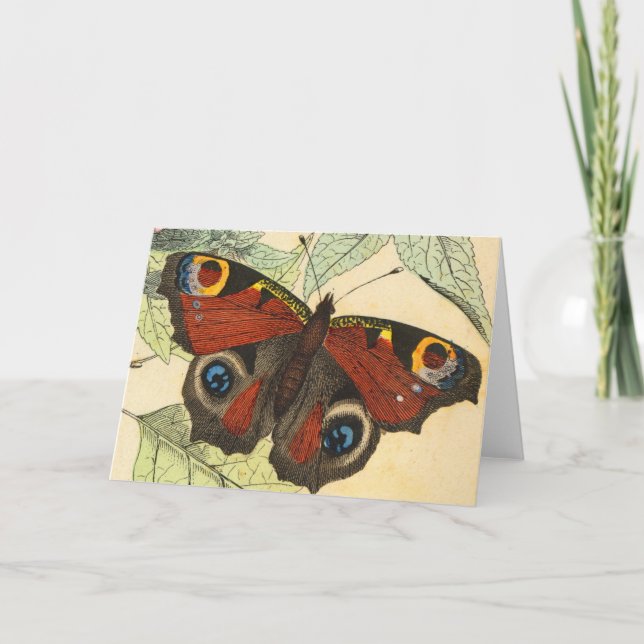Peacock Butterfly Karte (Vorderseite)