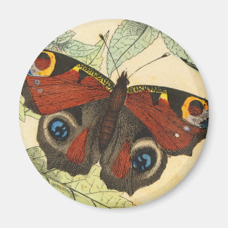 Peacock Butterfly Magnet