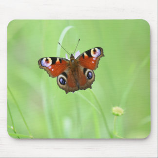 Peacock Butterfly Mousepad