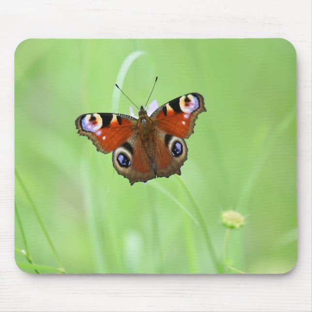 Peacock Butterfly Mousepad (Vorne)