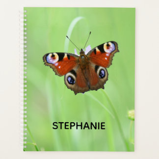 Peacock Butterfly Planer