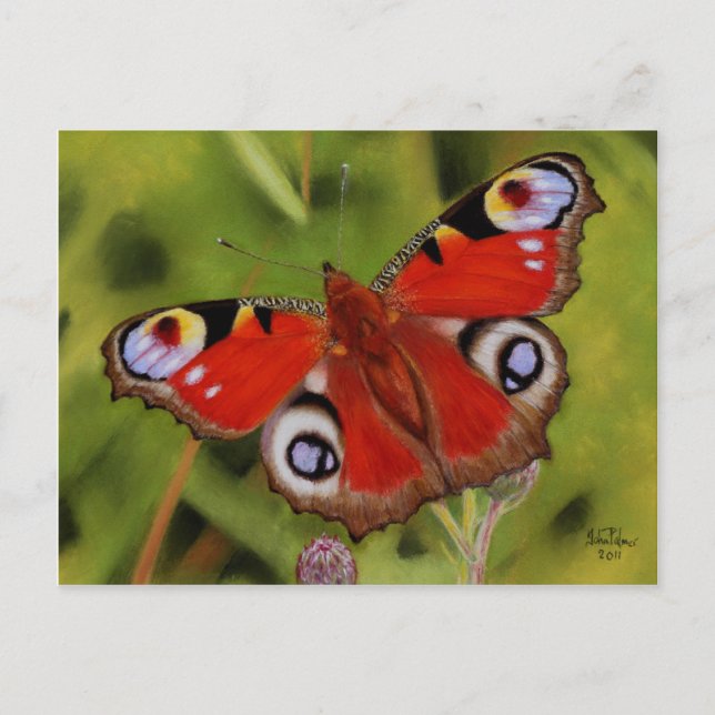 PEACOCK BUTTERFLY POSTKARTE (Vorderseite)