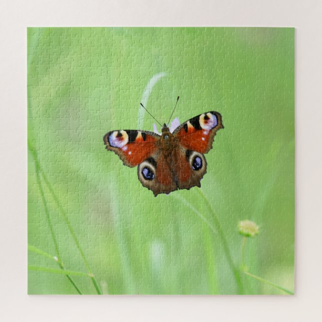 Peacock Butterfly Puzzle (Vertikal)