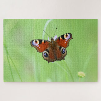 Peacock Butterfly Puzzle
