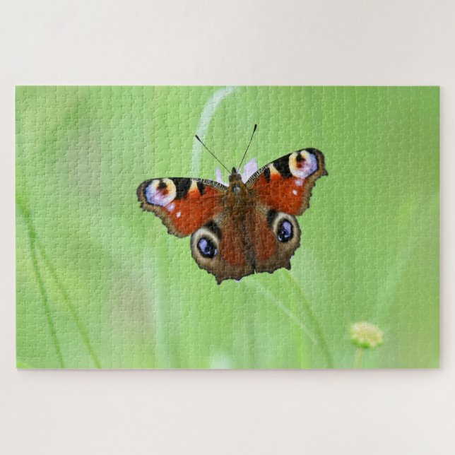 Peacock Butterfly Puzzle (Horizontal)
