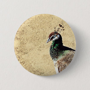 Peacock Button