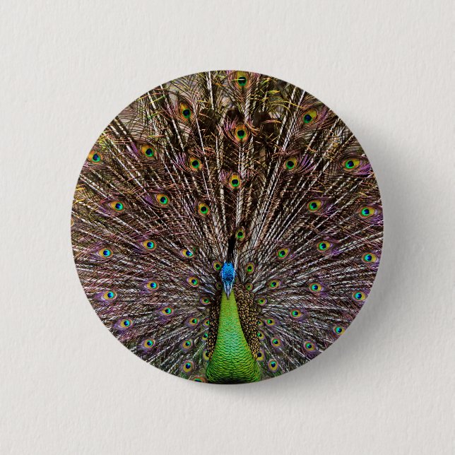 Peacock Button (Vorderseite)