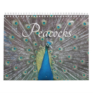 Peacock Calendar Kalender