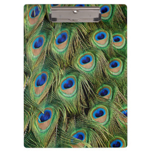 Peacock Clipboard Klemmbrett